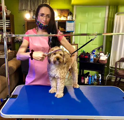 Marcys Mountain Dog Grooming LLC - Image 1