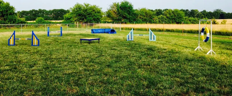 4 Paws at Camp Claircrest in Pleasant Hill, MO