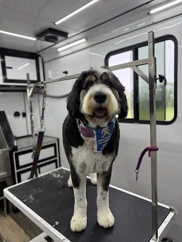 Groom My Friend- Mobile Grooming - Image 1