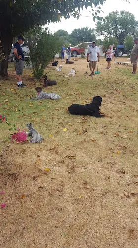 Texas Dog Academy - Image 1