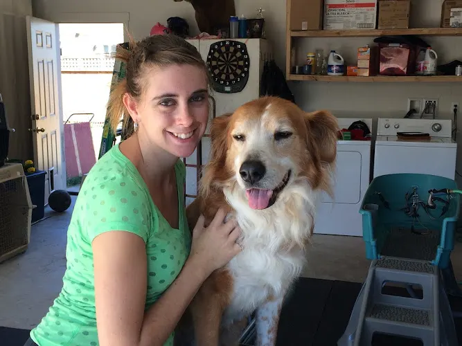 Soiled to Spoiled Animal Grooming - Image 1