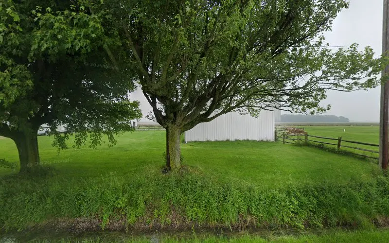 Carriage Dog LLC - Image 1
