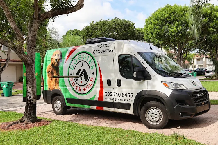 Mobile Grooming Doggies Gone Wild in Doral, FL