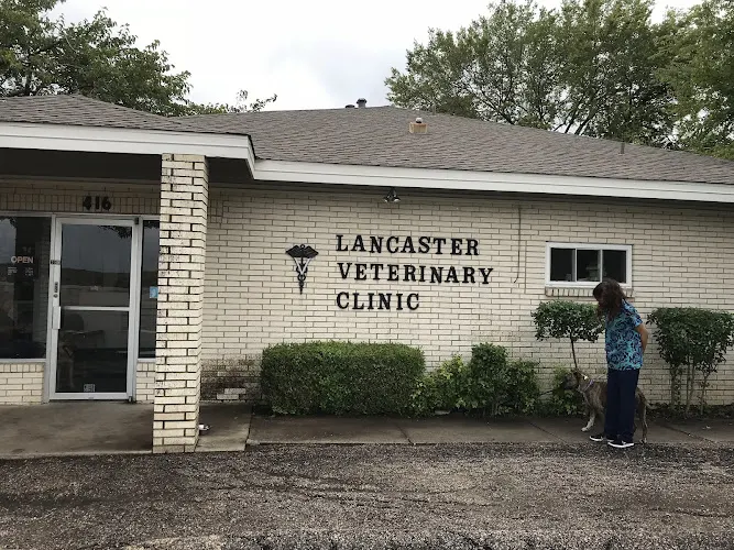 Lancaster Veterinary Clinic - Image 1