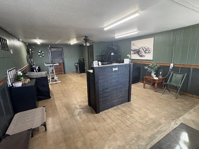 Hair Of The Dog Groomery - Image 1