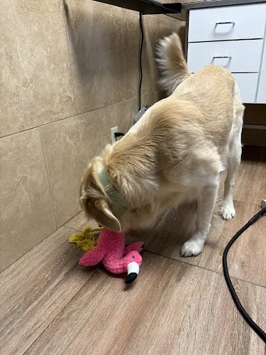 Coral Breeze Animal Hospital - Image 1