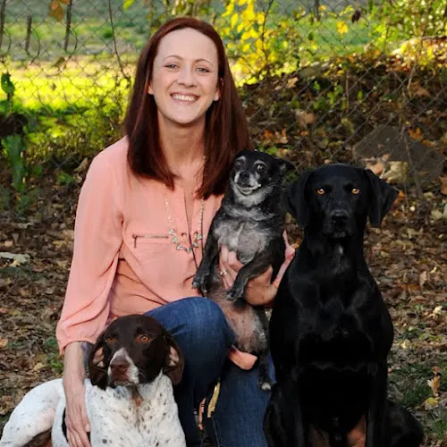 Andrea's Grooming Dogs - Image 1