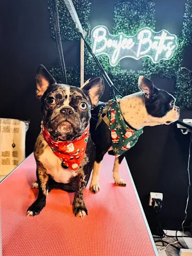 Boujee Baths Pet Spa - Image 1