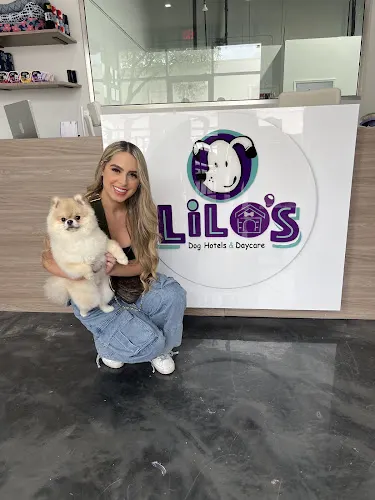 Lilo’s Dog Hotels & Daycare - Image 1