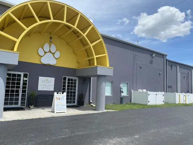 Bay Paws Pet Resort - Ybor City - Image 1