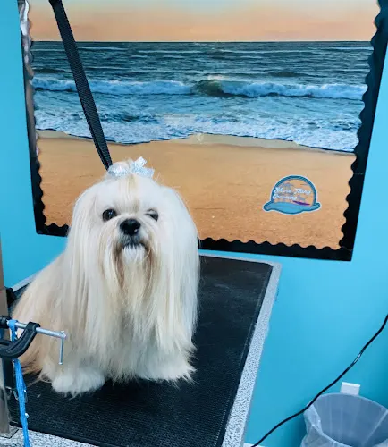 Shore Thing Grooming - Image 1