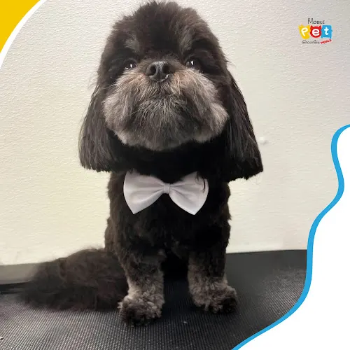 Mobile Pet Grooming World in Kissimmee, FL