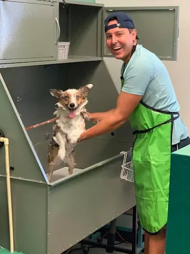 Critter Cleaners - Image 1
