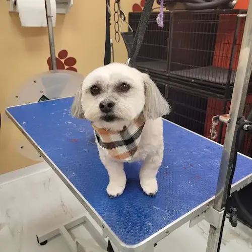 Emie's Paw Spa LLC - Image 1