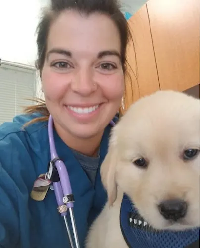Sit Stay VA- Concierge Pet Wellness - Image 1