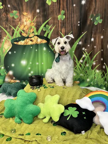 Harbor Dog Pet Spa LLC - Image 1