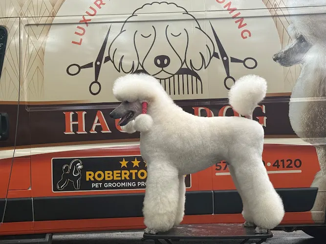 Haute Dog Mobile Grooming - Image 1
