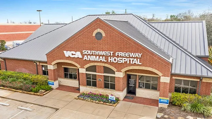 VCA Southwest Freeway Animal Hospital - Image 1