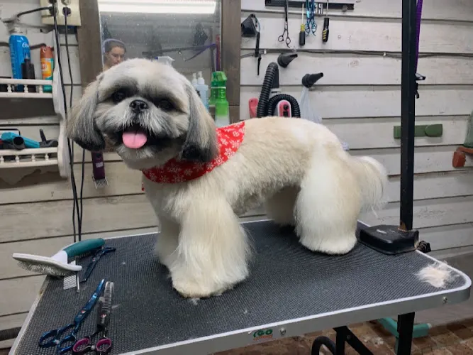 Harley's Mutt Hutt - Image 1