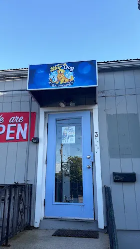 STARDOG GROOMING in Westborough, MA