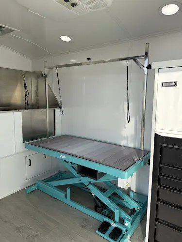 Desert Dog Spa Mobile Grooming - Image 1