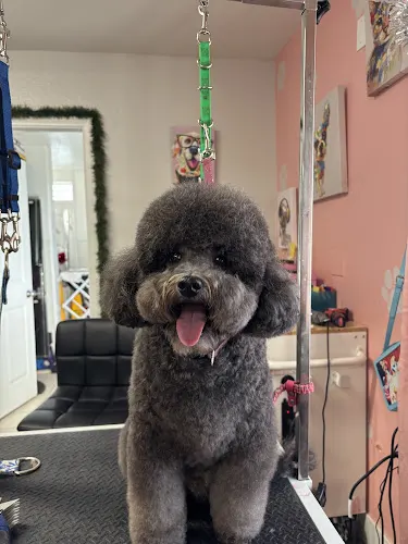 Poppy & Friends Pet Shop and Grooming - Image 1