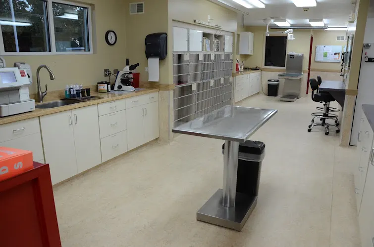 River Heights Veterinary Hospital, A Thrive Pet Healthcare Partner - Image 1