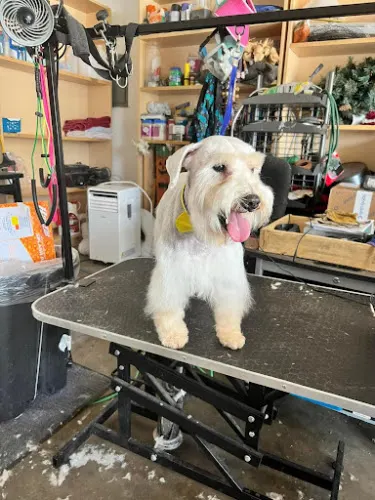 FurBaby Cuts - Image 1