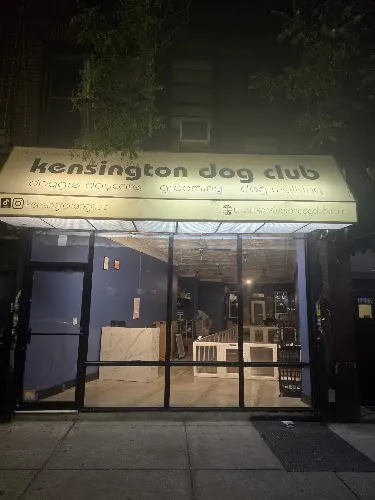 Kensington Dog Club in Brooklyn, NY