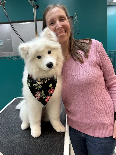 Laura's Doggy Day Spa - Image 1