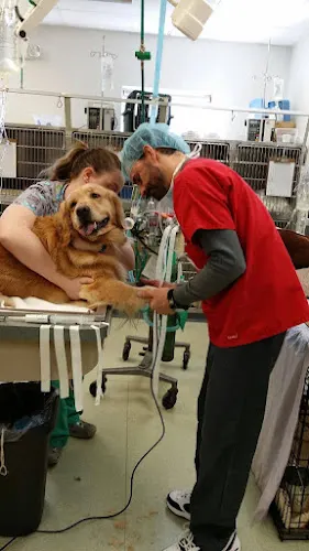 Annehurst Veterinary Hospital in Westerville, OH