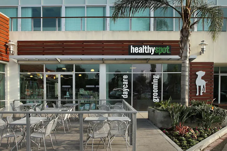Healthy Spot - Image 1