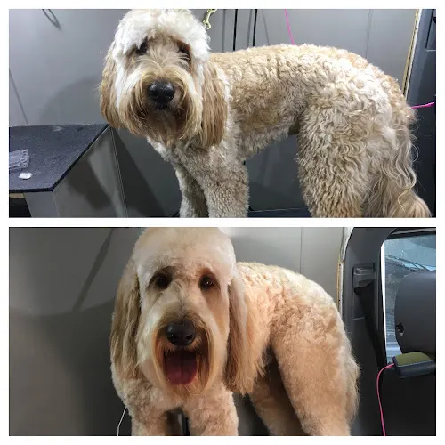 Pawpular A Mobile Dog Spa - Image 1