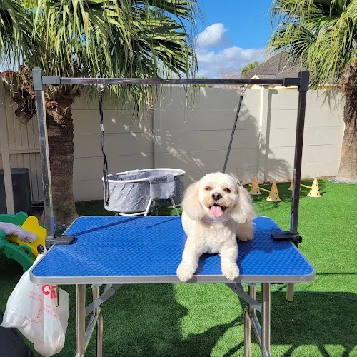 Oh My Paws Mobile Grooming in Edinburg, TX