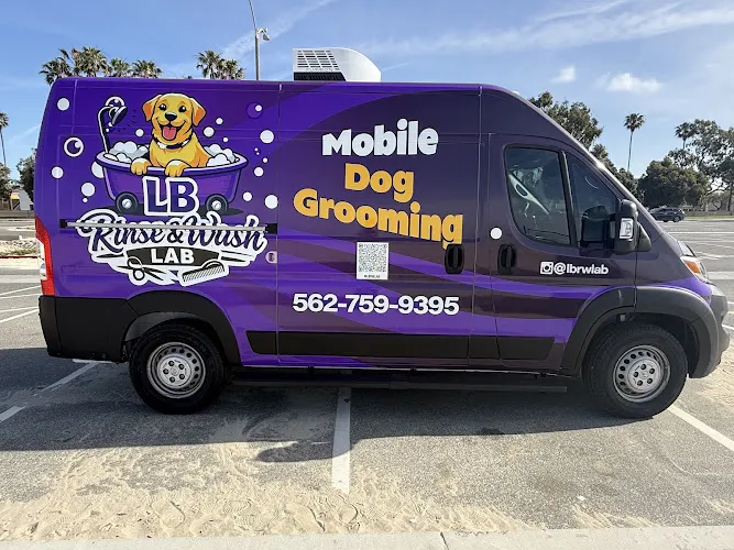LB Rinse & Wash Lab, LLC Mobile Pet Groomer - Image 1