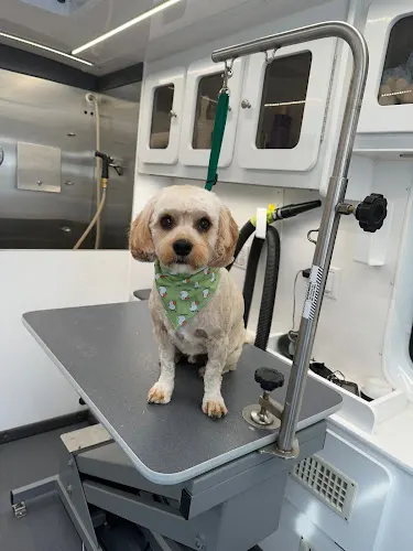 Royal Fur Mobile Grooming in North Brunswick Township, NJ