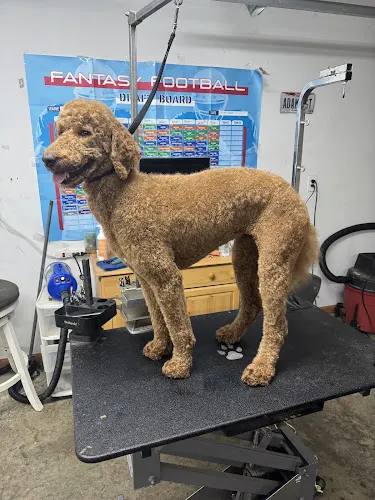 The Dirty Doodle in Amelia, OH