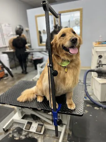 Posh Pets Grooming in Encinitas, CA