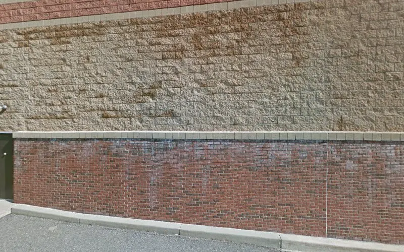 PetSmart Grooming in Brighton, MI
