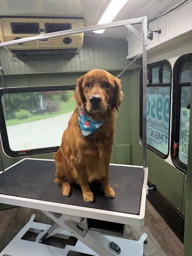 Hair Of The Dog Mobile Grooming LLC - Image 1