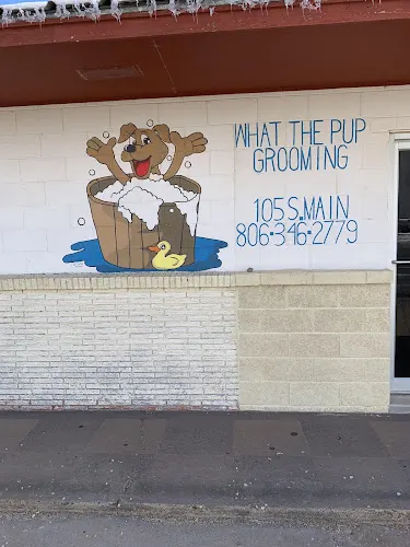 What the Pup Pet Grooming - Image 1