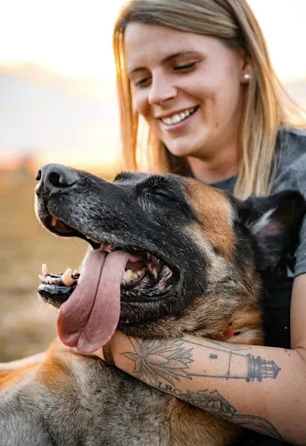 Kings K9 Kennel & Training, LLC - Image 1