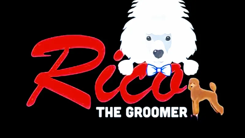Rico The Groomer - Image 1