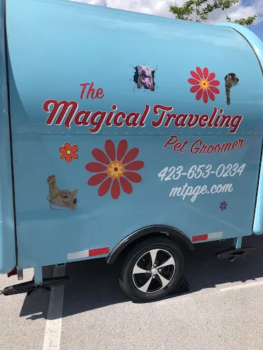 Magical Traveling Pet Groomer - Image 1