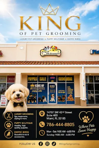 KING OF PET GROOMING • Puppy Boutique & Exotic Birds - Image 1