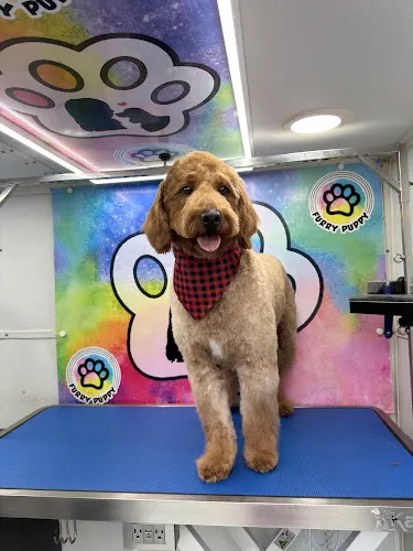 Furry Puppy Mobile Pet Grooming - Image 1