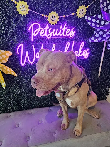 PetSuites Waterford Lakes - Image 1