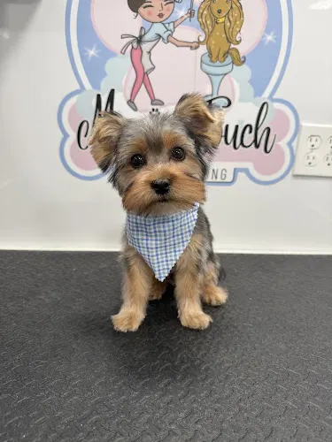 Magic touch Pet Grooming (Mobile) - Image 1