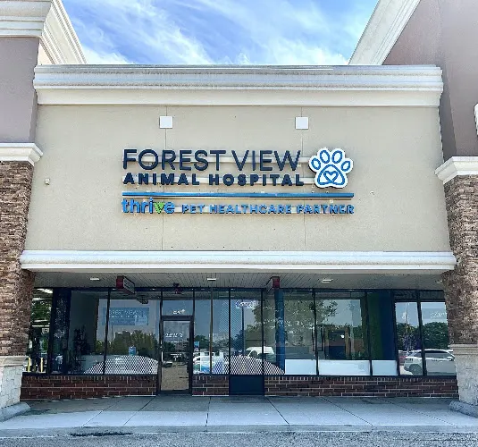 Forest View Animal Hospital, A Thrive Pet Healthcare Partner - Image 1