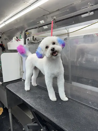 Pooch Paradise Mobile Dog Grooming - Image 1